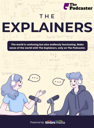 The Explainers