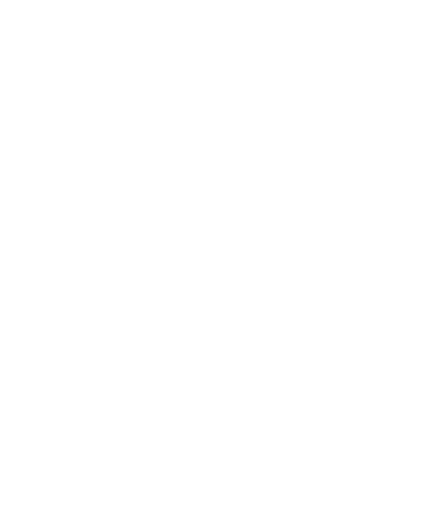 Bg Logo